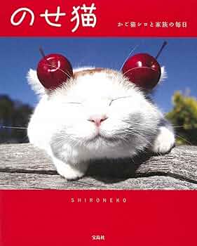かご猫1 シロの散歩道 [DVD] 81UcMFx+pJL._UF350,350_QL50_.jpg